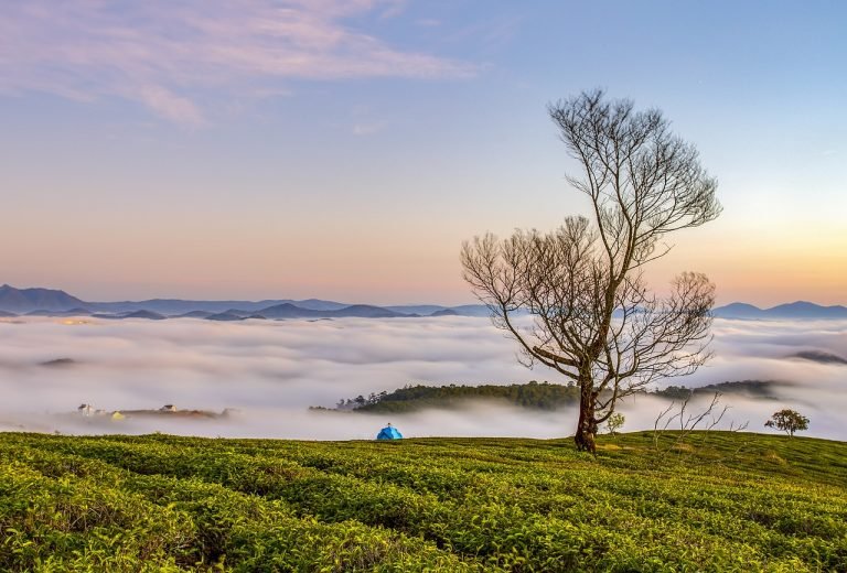 ¿Qué tanto conectas con la naturaleza? 3 recordatorios para viajar